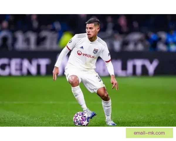 从数据到话语权哈兰德在法甲赛场的影响力观察与启示对联盟生态变革